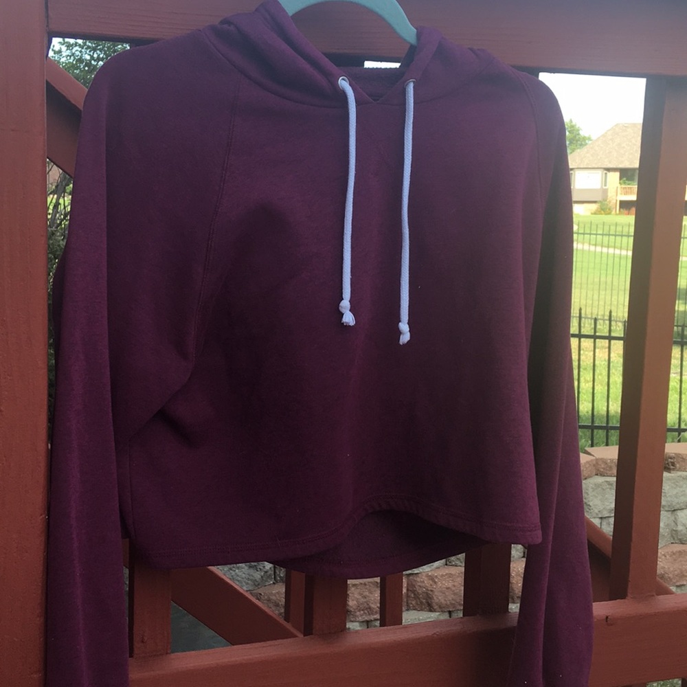 A h&m cropped hoodie